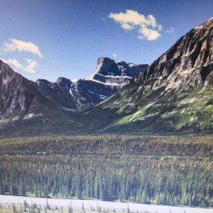 Meet your Posher, Daniella